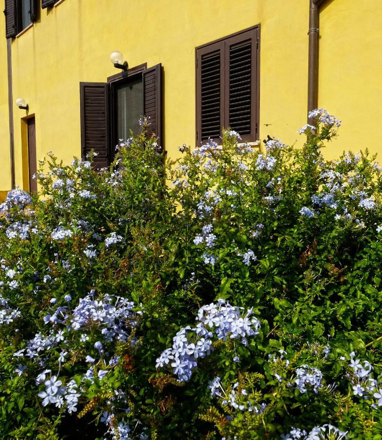 Vistazzurra B&B Ancône Extérieur photo
